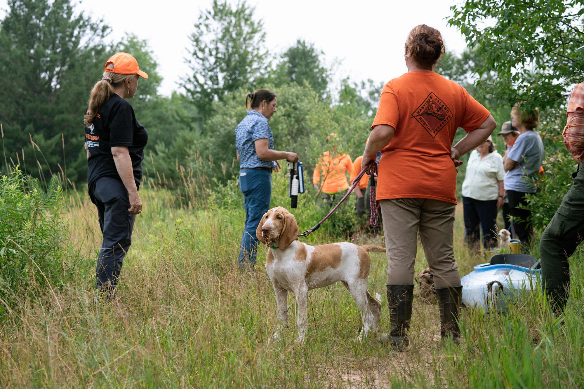 Annual Ladies Bird Dog Seminar 2026